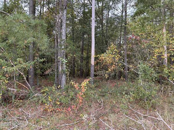 14 Acres of Recreational Land for Sale in Lumberton, North Carolina