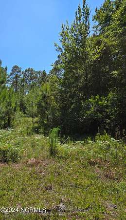 5 Acres of Land for Sale in Boiling Spring Lakes, North Carolina