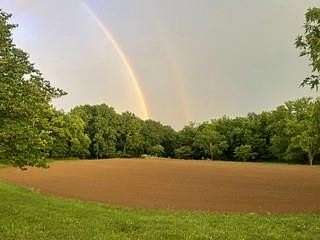 20 Acres of Land for Sale in Lone Jack, Missouri