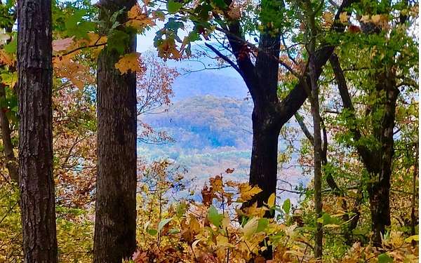 44 Acres of Land for Sale in Ellijay, Georgia