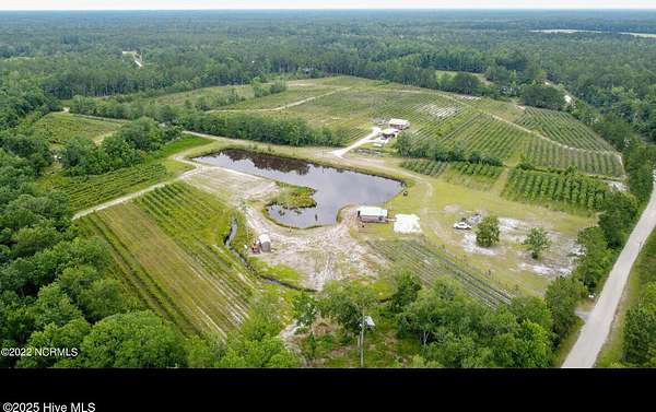 40.3 Acres of Improved Land for Sale in Burgaw, North Carolina