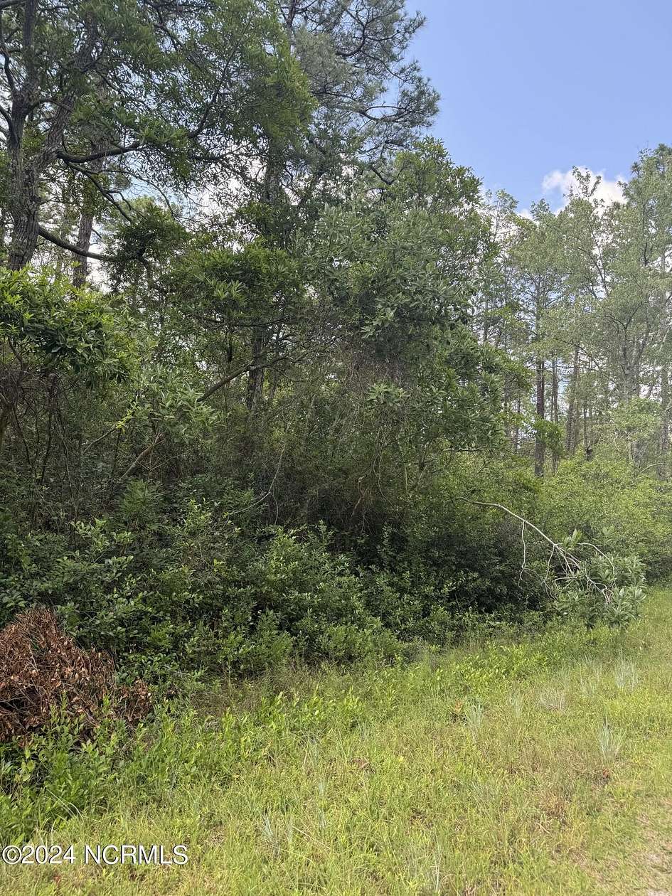 0.36 Acres of Residential Land for Sale in Boiling Spring Lakes, North Carolina