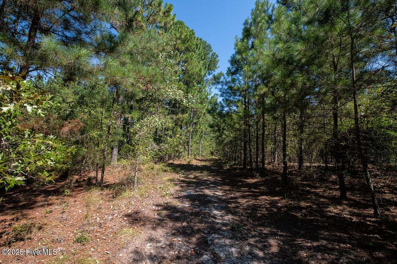 11 Acres of Land for Sale in Rockingham, North Carolina