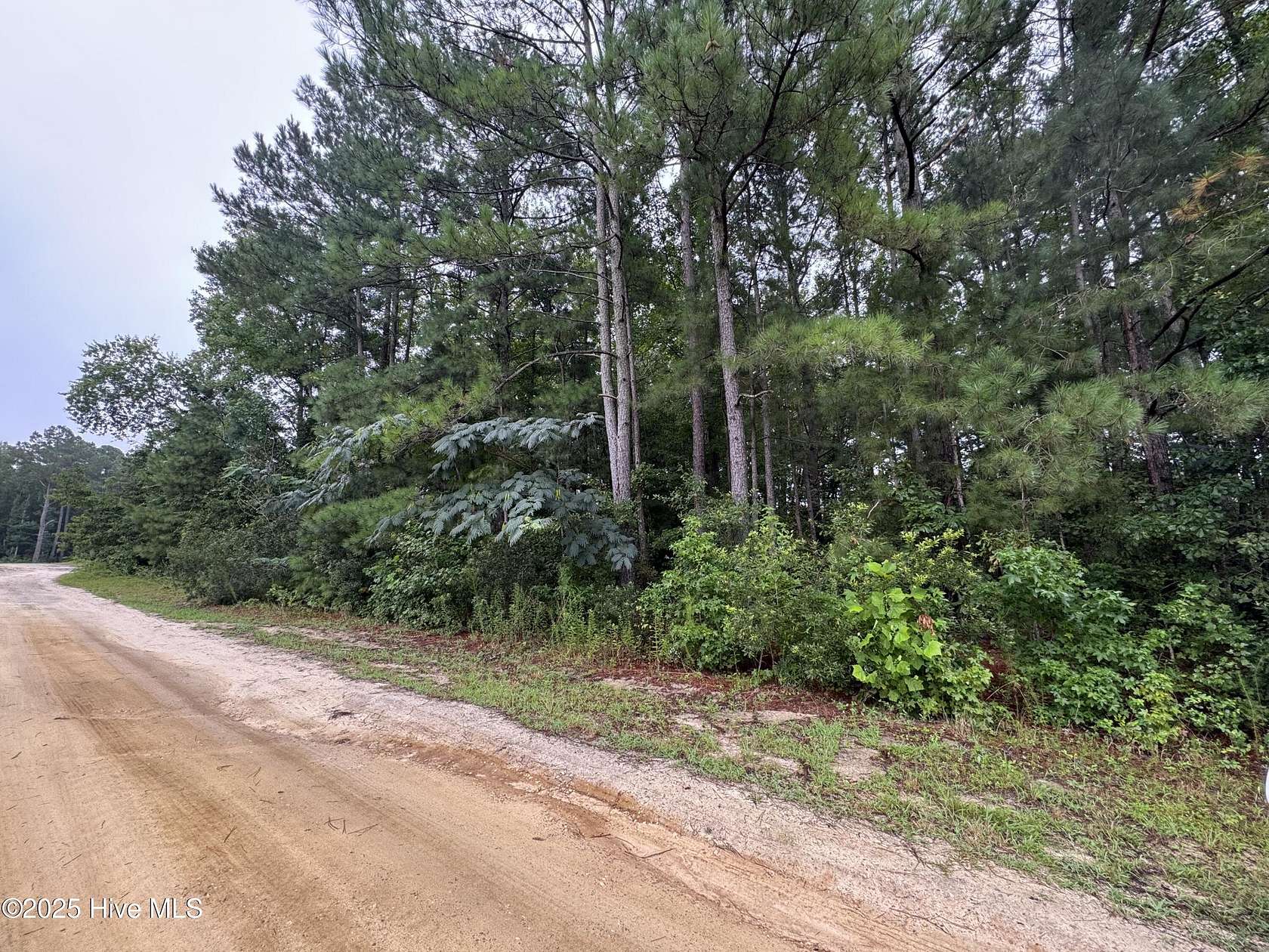 1.1 Acres of Residential Land for Sale in Cameron, North Carolina