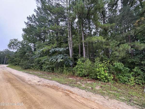 1.1 Acres of Residential Land for Sale in Cameron, North Carolina