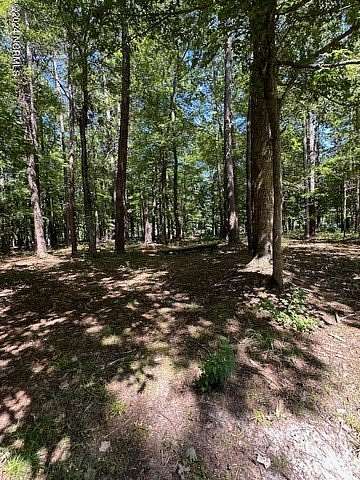 0.37 Acres of Residential Land for Sale in Hertford, North Carolina