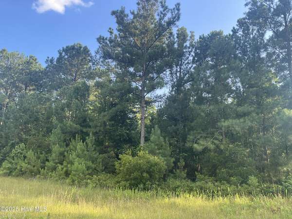 10.1 Acres of Land for Sale in Merritt, North Carolina