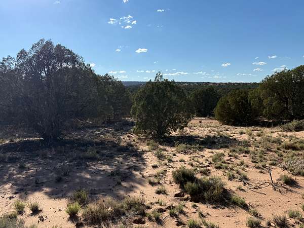 1.18 Acres of Residential Land for Sale in Snowflake, Arizona