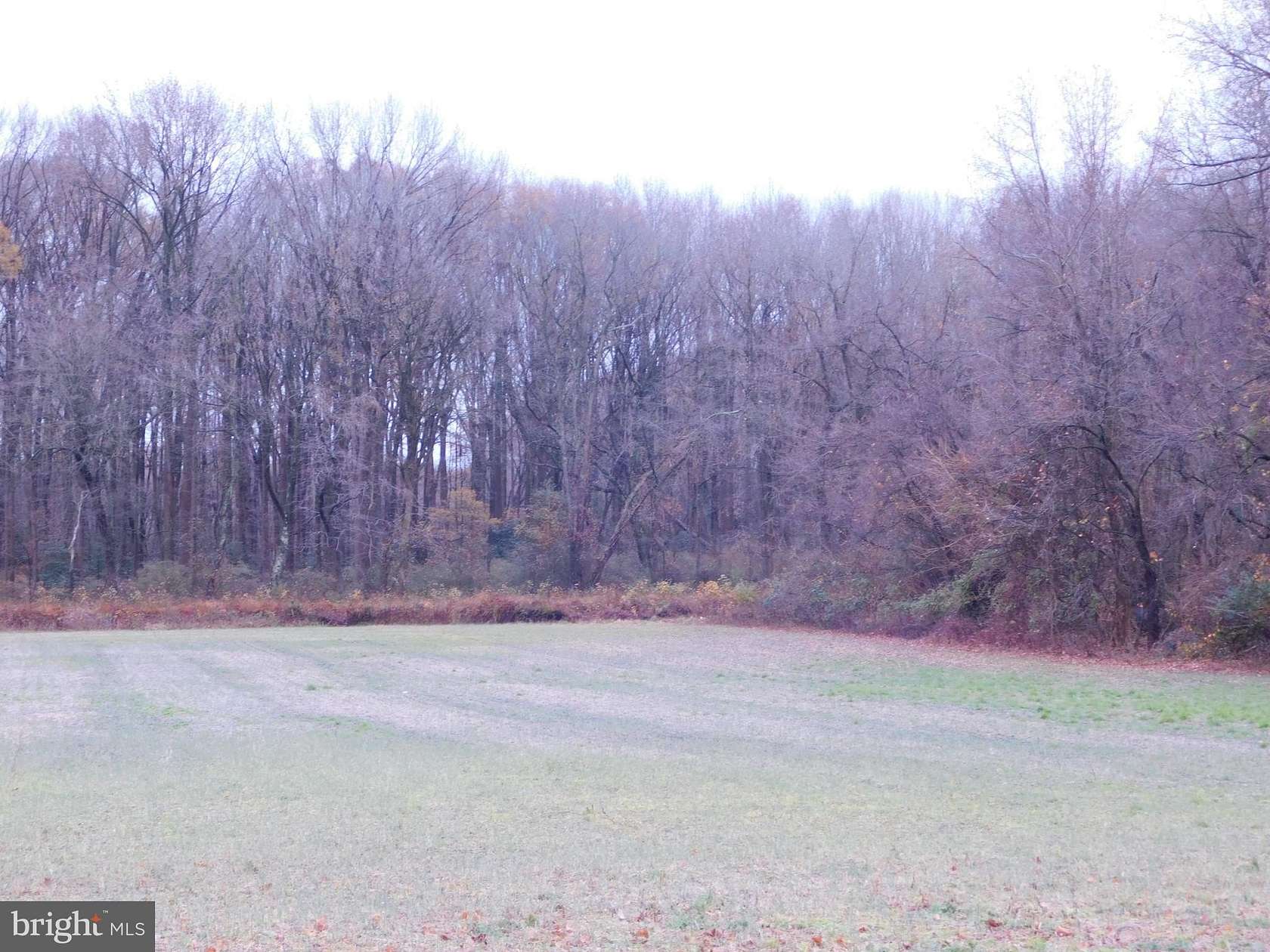 0.81 Acres of Residential Land for Sale in Hartly, Delaware