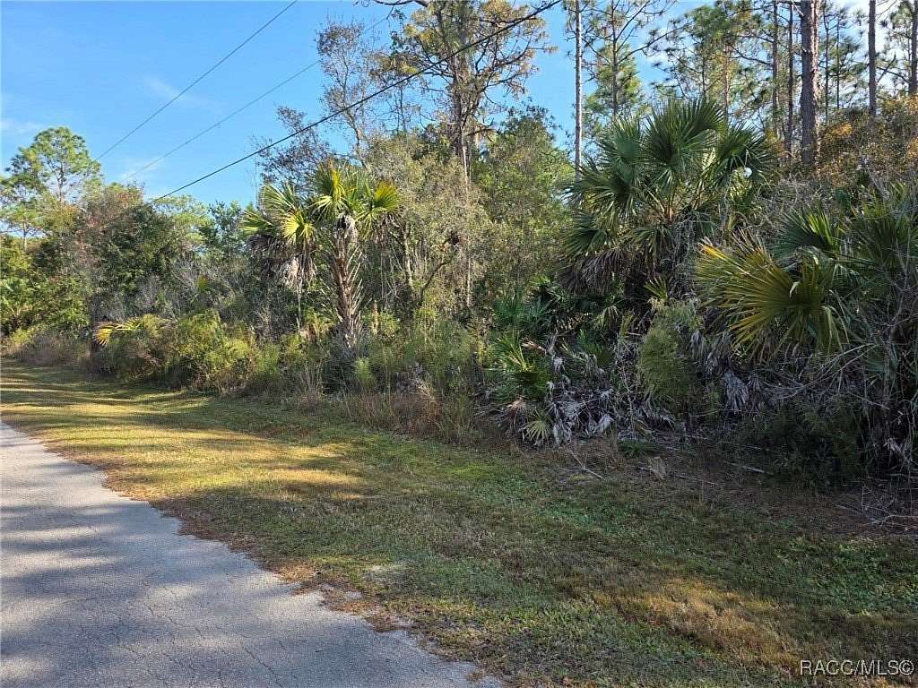 1.1 Acres of Residential Land for Sale in Crystal River, Florida