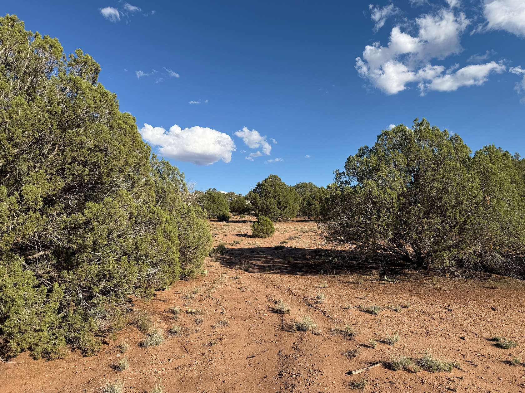 2.36 Acres of Residential Land for Sale in Snowflake, Arizona