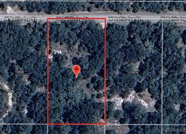 1.16 Acres of Land for Sale in Crystal River, Florida