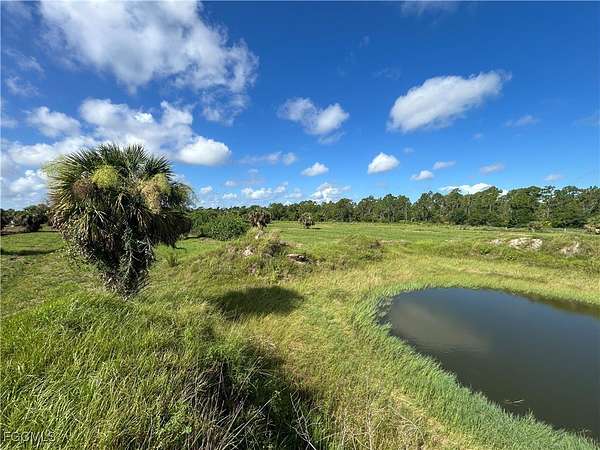 10 Acres of Land for Sale in Punta Gorda, Florida