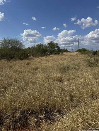 27.1 Acres of Land for Sale in Cotulla, Texas