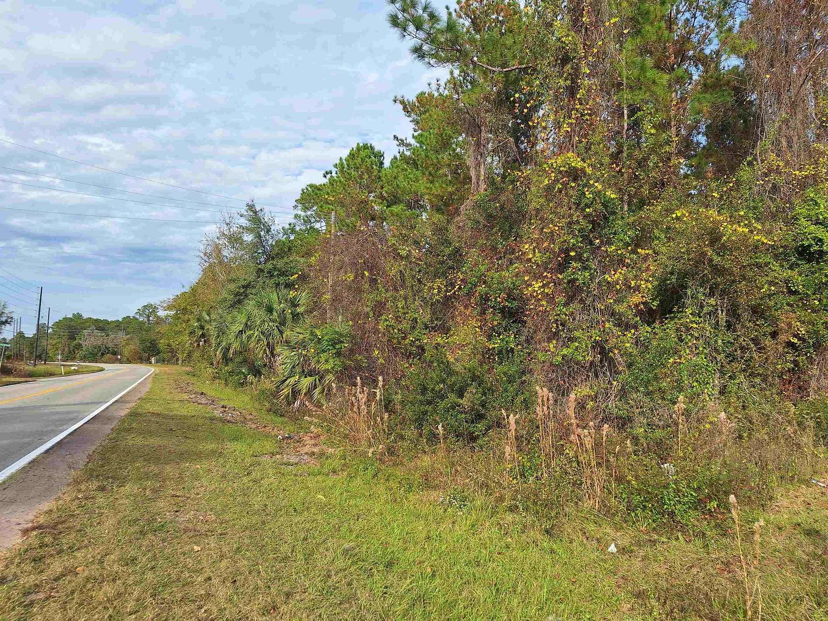 14.4 Acres of Commercial Land for Sale in Crescent City, Florida
