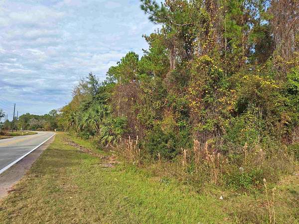 14.4 Acres of Commercial Land for Sale in Crescent City, Florida