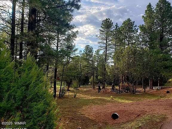 0.58 Acres of Residential Land for Sale in Overgaard, Arizona