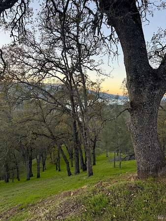 0.35 Acres of Residential Land for Sale in Napa, California