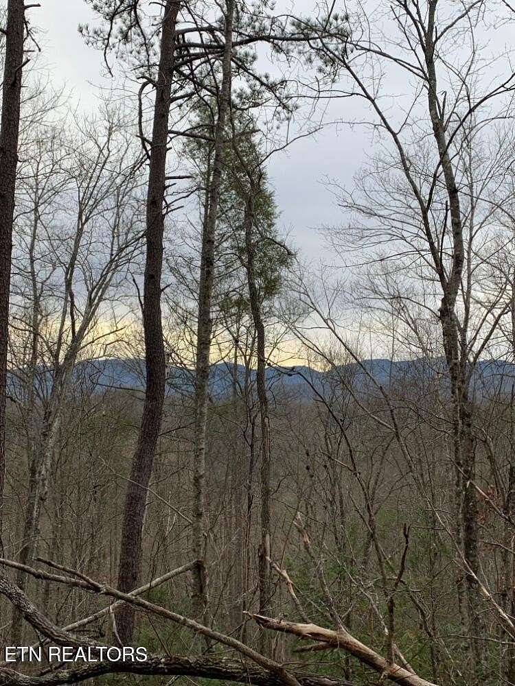 1 Acre of Residential Land for Sale in Gatlinburg, Tennessee