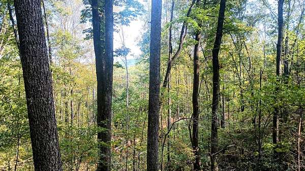 35.9 Acres of Recreational Land for Sale in Shipman, Virginia
