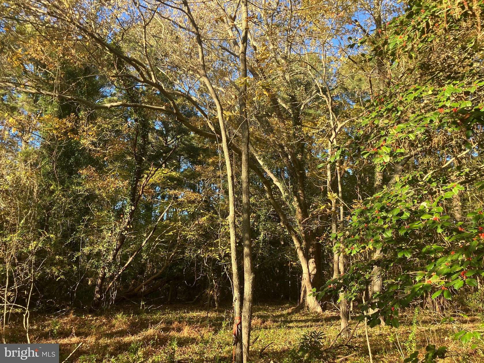 1 Acre of Residential Land for Sale in Marion, Maryland