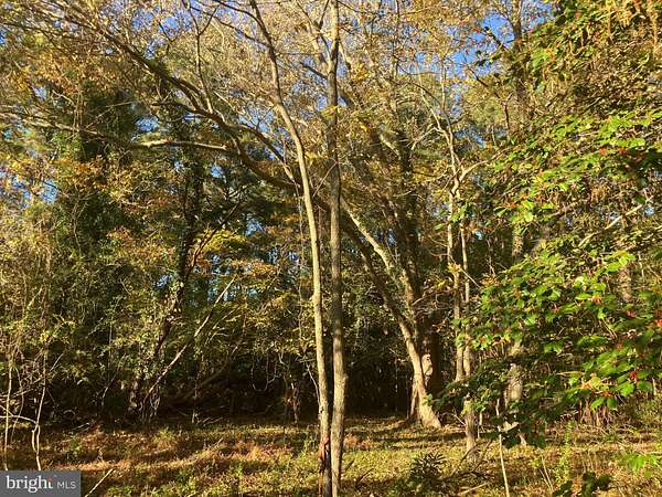 1 Acre of Residential Land for Sale in Marion, Maryland