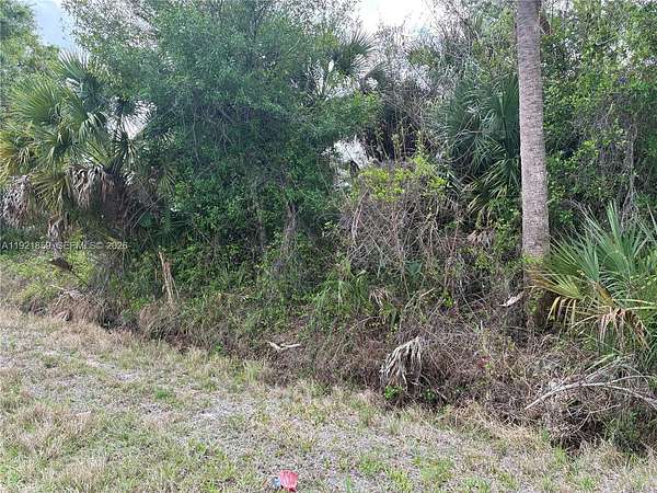 1.25 Acres of Residential Land for Sale in Clewiston, Florida