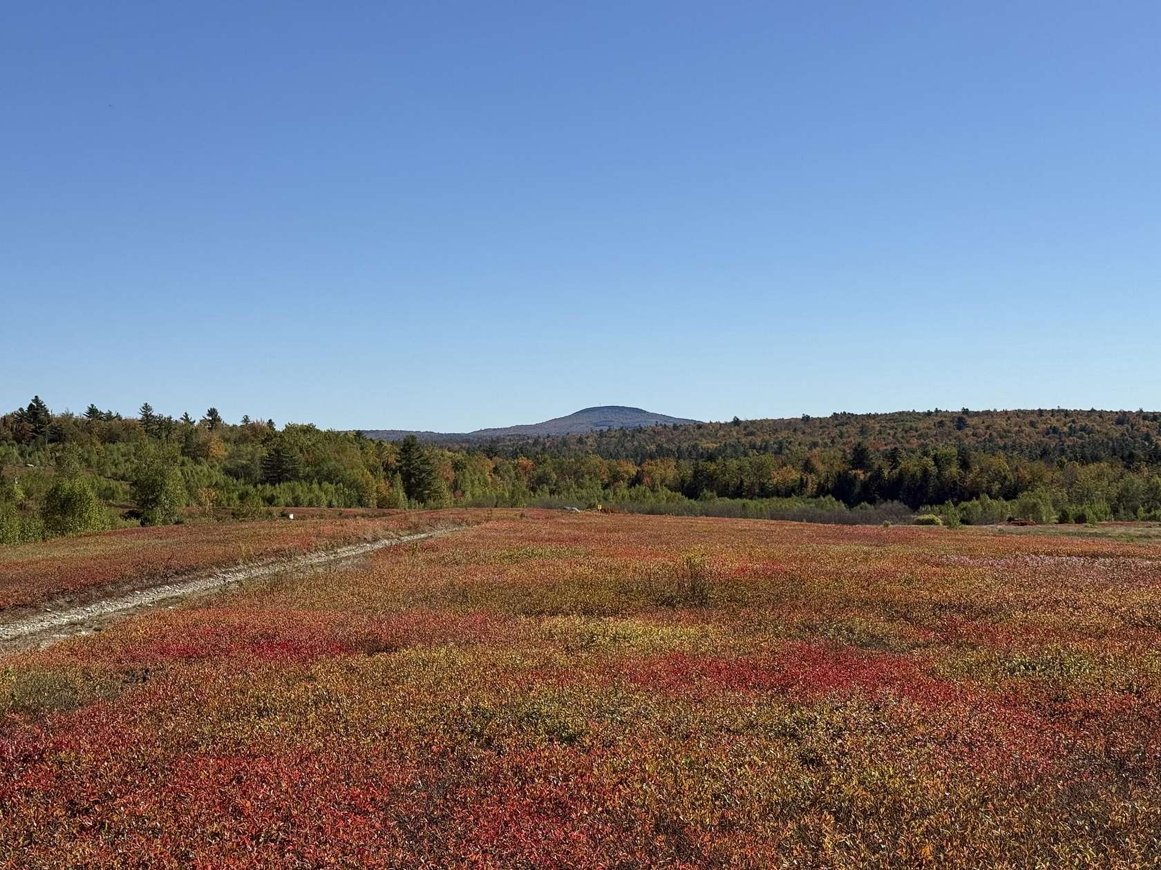 90 Acres of Recreational Land for Sale in Penobscot, Maine