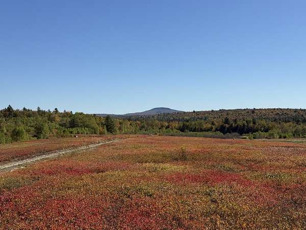 90 Acres of Recreational Land for Sale in Penobscot, Maine