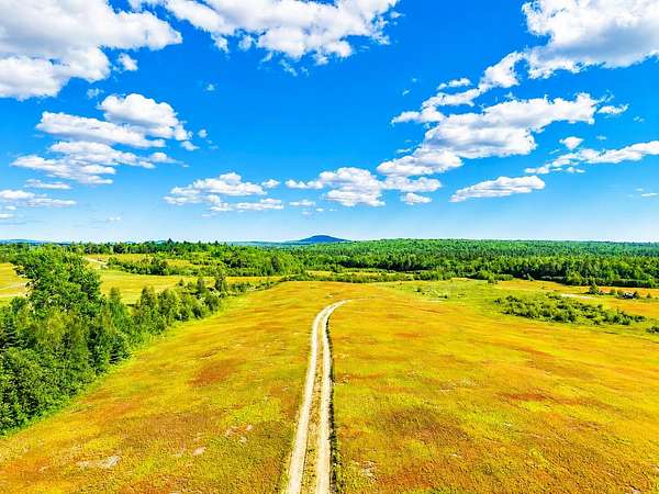 90 Acres of Land for Sale in Penobscot, Maine