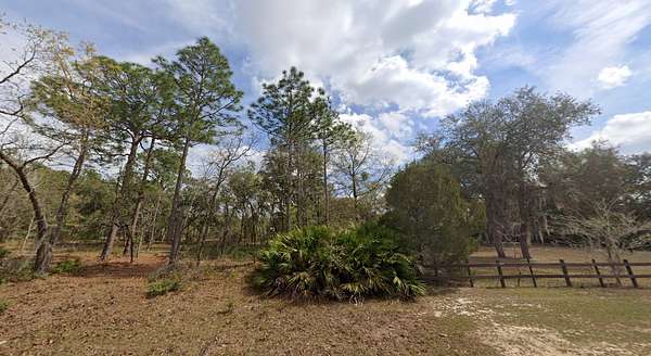 0.43 Acres of Residential Land for Sale in Interlachen, Florida