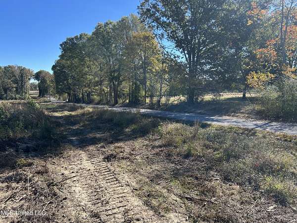 7 Acres of Land for Sale in Mendenhall, Mississippi