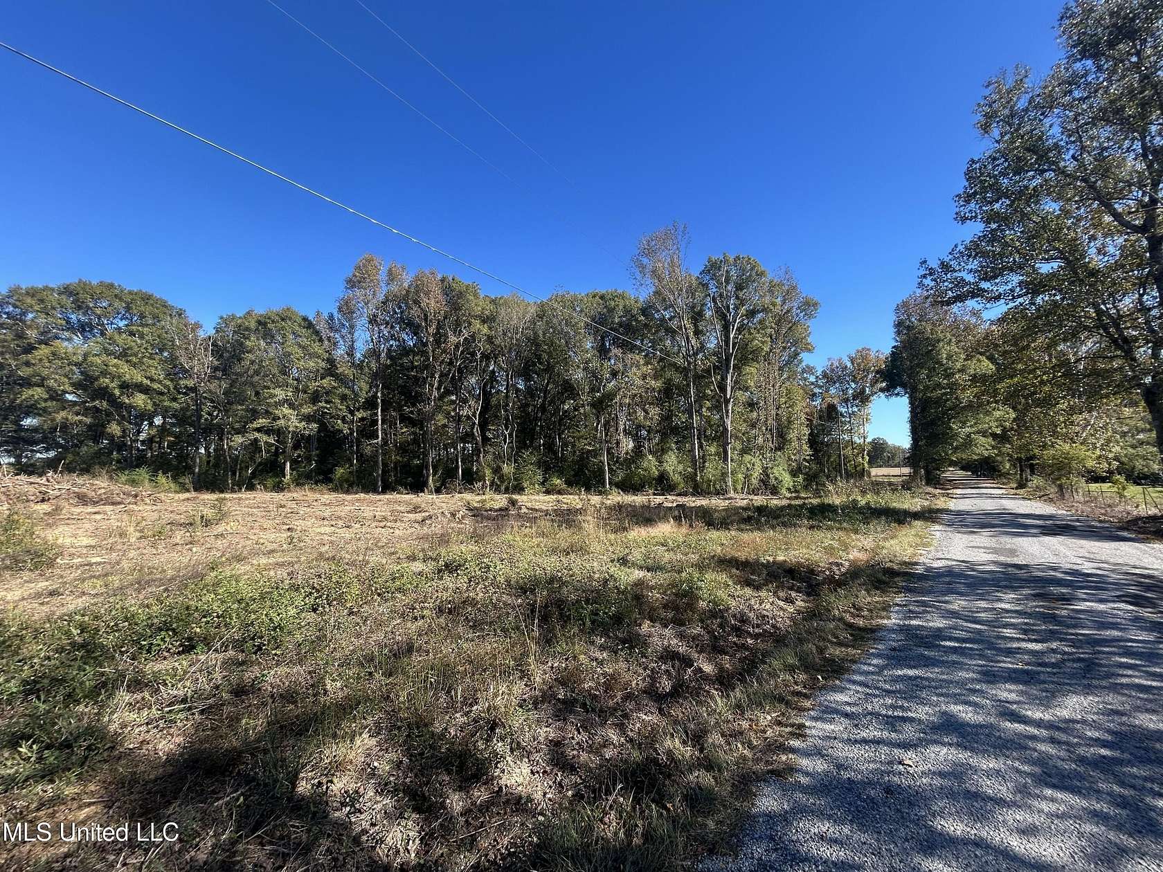 9.85 Acres of Residential Land for Sale in Mendenhall, Mississippi