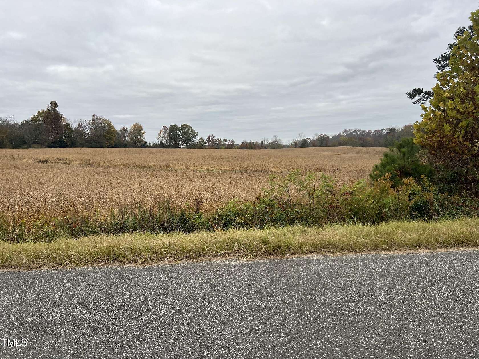 10 Acres of Residential Land for Sale in Louisburg, North Carolina