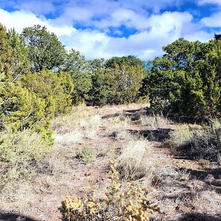 0.23 Acres of Residential Land for Sale in Eagar, Arizona