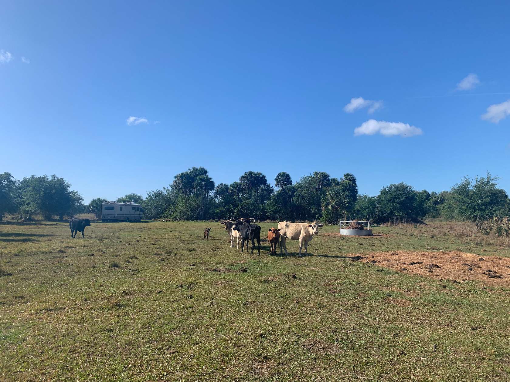 20 Acres of Agricultural Land for Sale in Okeechobee, Florida