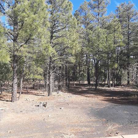 0.28 Acres of Residential Land for Sale in Show Low, Arizona