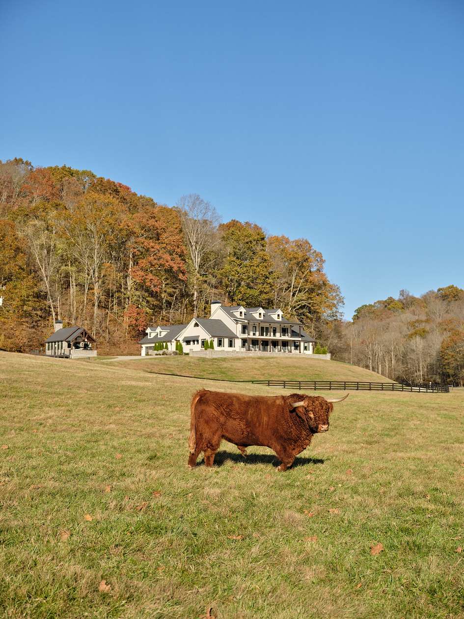 448 Acres of Recreational Land with Home for Sale in Columbia, Tennessee