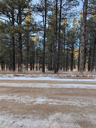 0.78 Acres of Land for Sale in Angel Fire, New Mexico