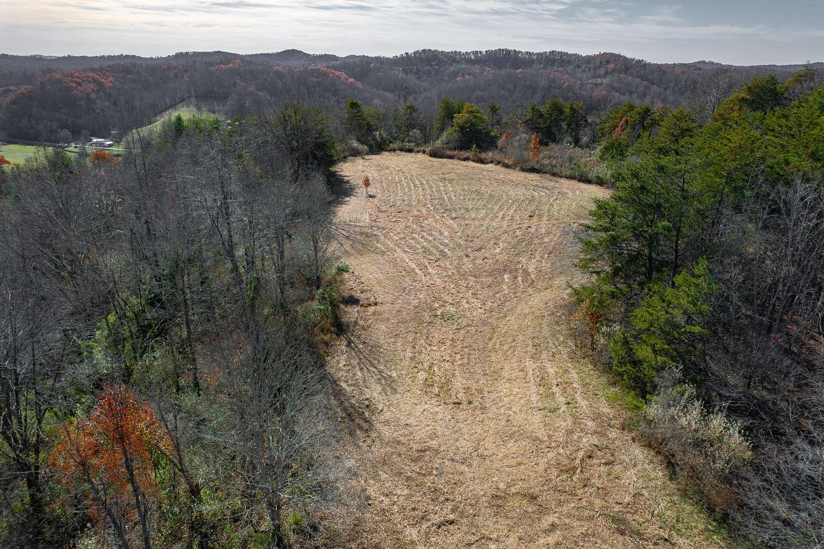 30 Acres of Land for Sale in West Liberty, Kentucky