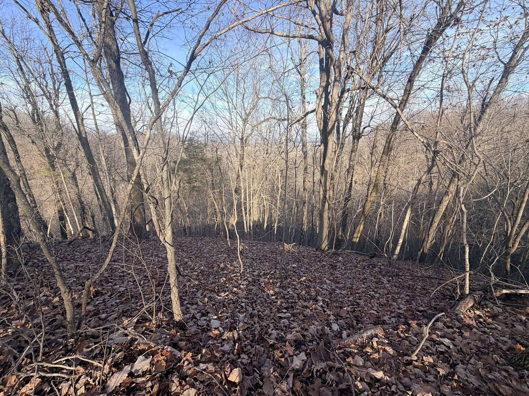 20 Acres of Recreational Land for Sale in Stanford, Kentucky