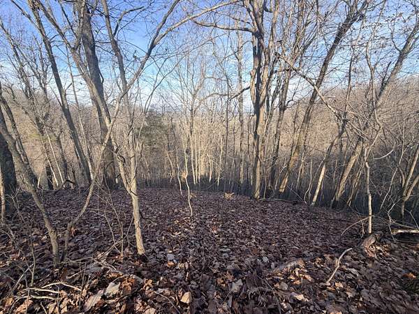 20 Acres of Recreational Land for Sale in Stanford, Kentucky