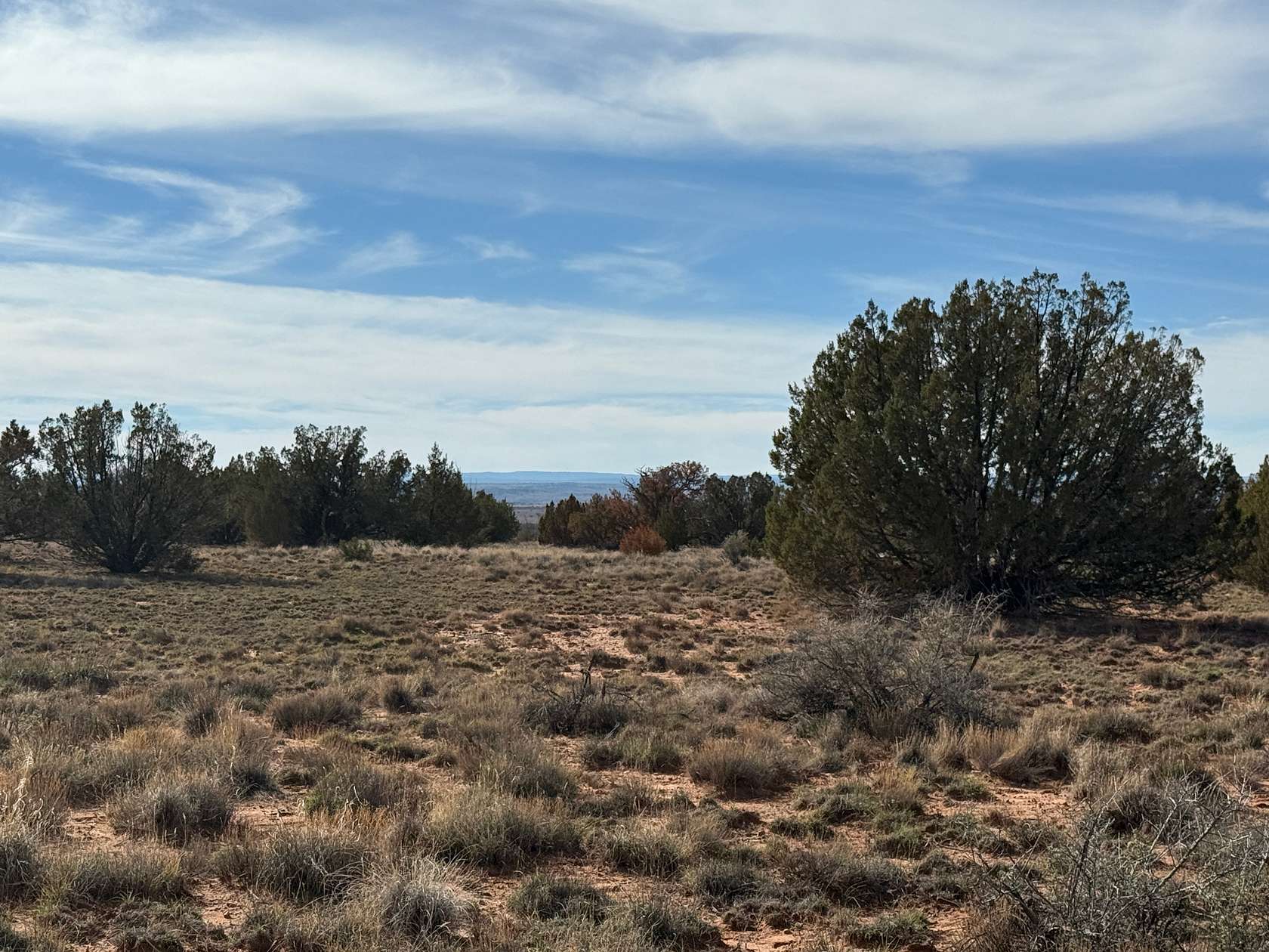 40.8 Acres of Land for Sale in Snowflake, Arizona