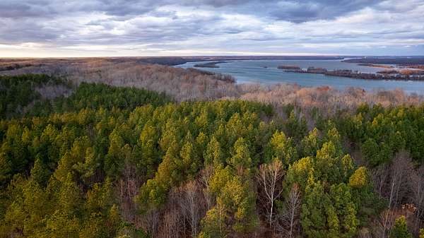 471 Acres of Recreational & Residential Land for Sale in Holladay, Tennessee