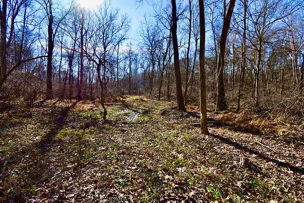 163 Acres of Land for Sale in Tennyson, Indiana