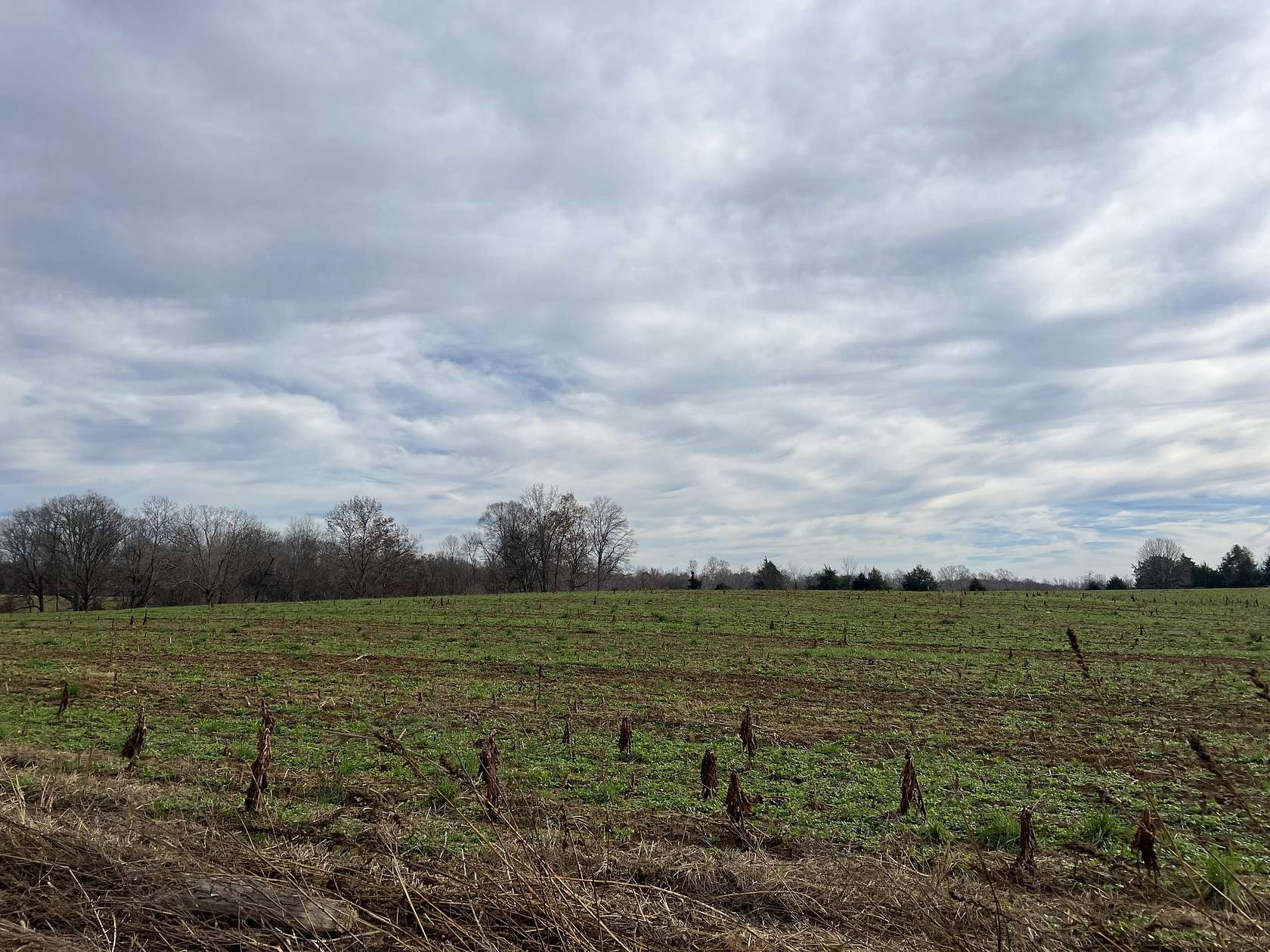 53 Acres of Agricultural Land for Sale in Red Boiling Springs, Tennessee