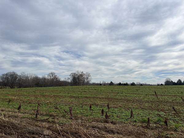 53 Acres of Agricultural Land for Sale in Red Boiling Springs, Tennessee