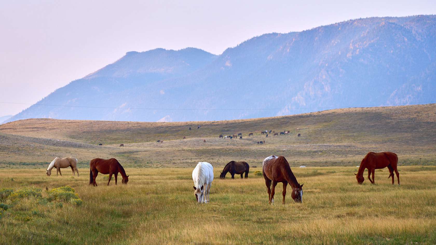 40 Acres of Recreational Land for Sale in Laramie, Wyoming