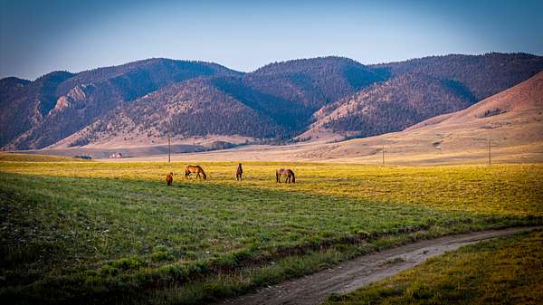 40 Acres of Recreational & Residential Land for Sale in Centennial, Wyoming
