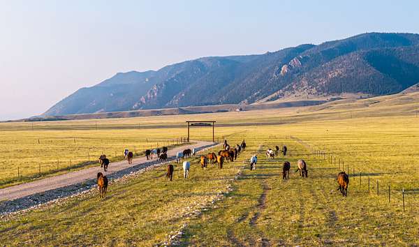 40 Acres of Recreational & Residential Land for Sale in Laramie, Wyoming